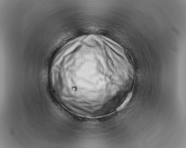 X0000114140642200910221526