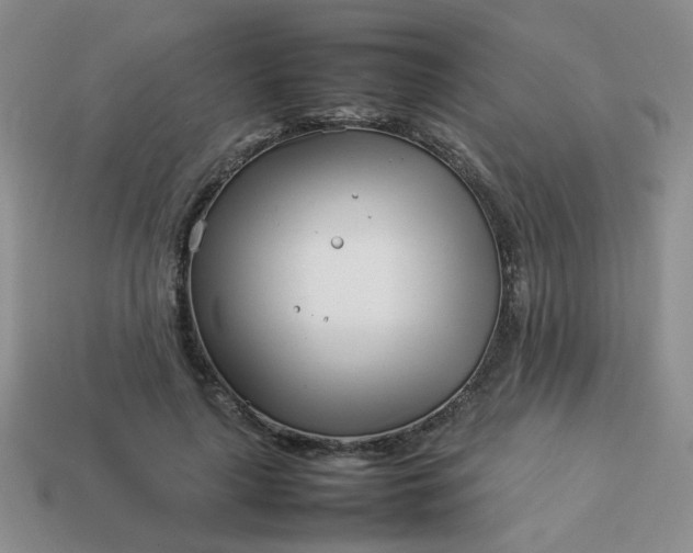 X0000114140643200910221526