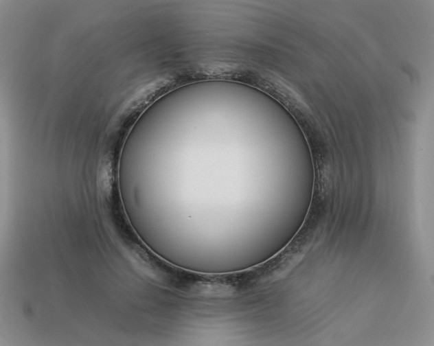 X0000114140644200910221526