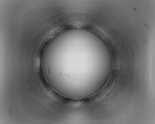 X0000114140646200910221526