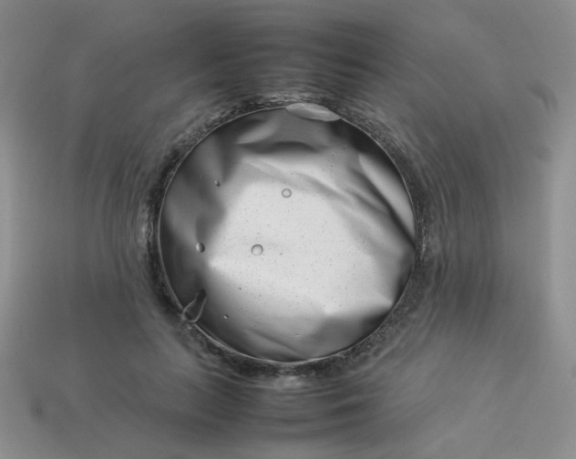 X0000114140647200910221526