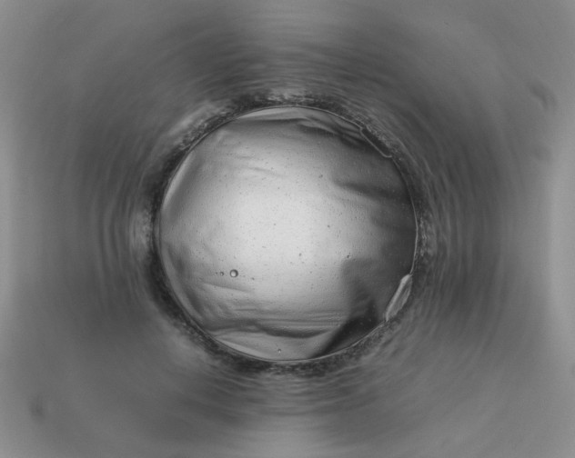 X0000114140648200910221526