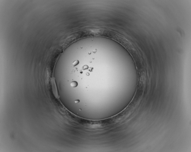 X0000114140651200910221526