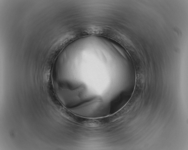 X0000114140652200910221526