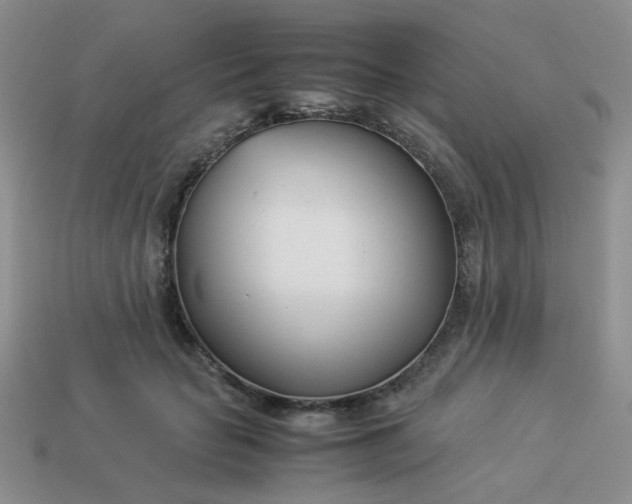 X0000114140653200910221526