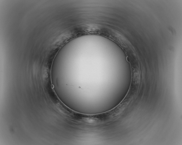 X0000114140654200910221526