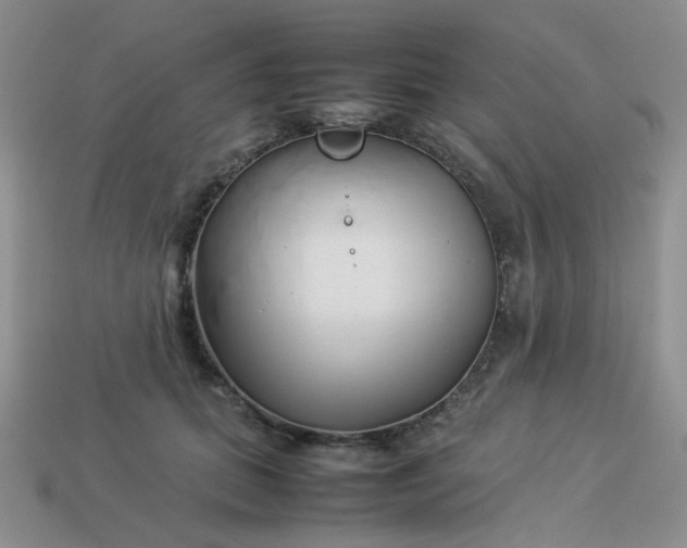 X0000114140655200910221526