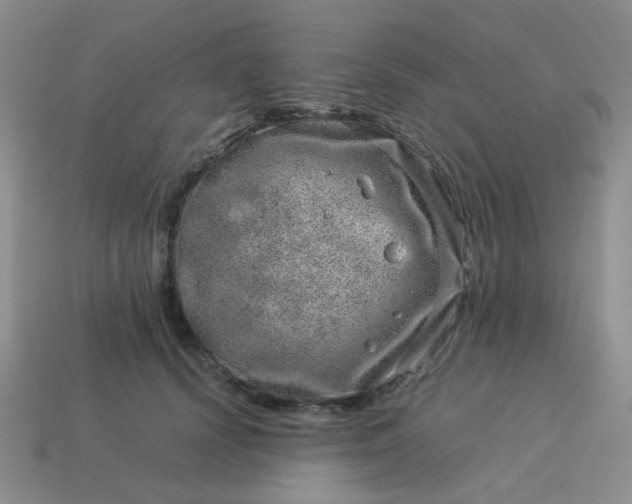 X0000114140656200910221526