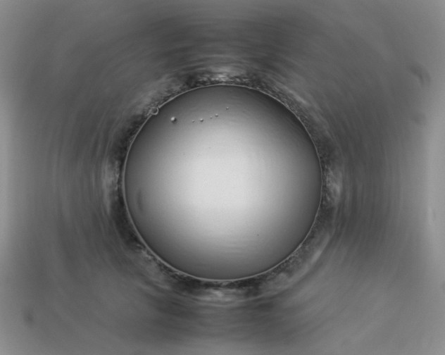 X0000114140657200910221526