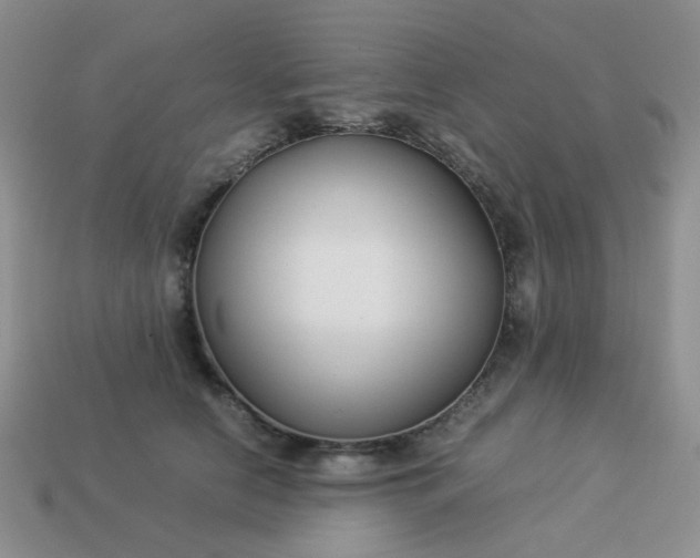 X0000114140658200910221526