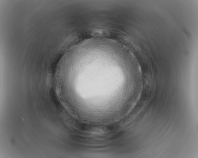 X0000114140659200910221526