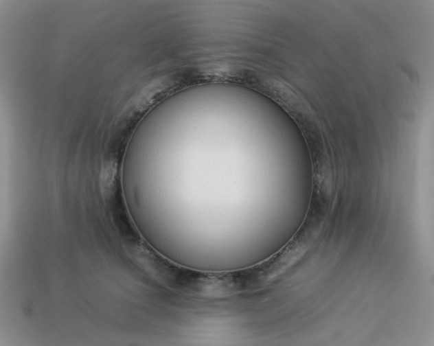 X0000114140660200910221526