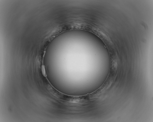 X0000114140661200910221526