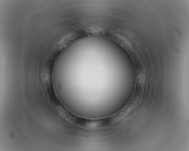 X0000114140662200910221526