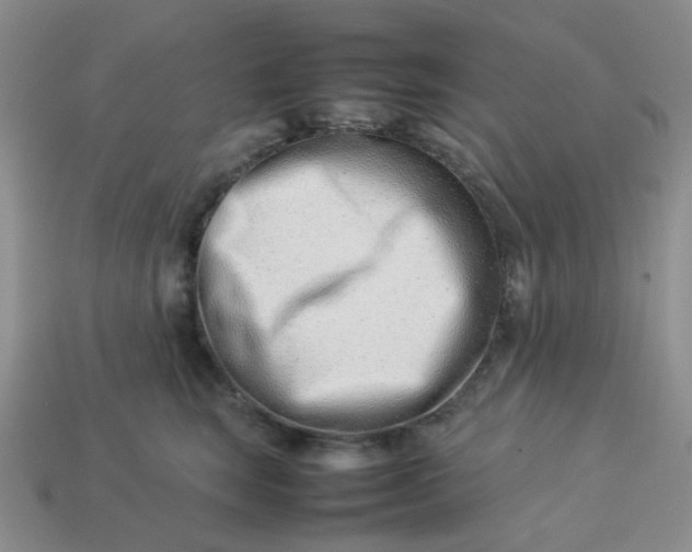 X0000114140663200910221526