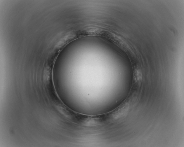 X0000114140664200910221526