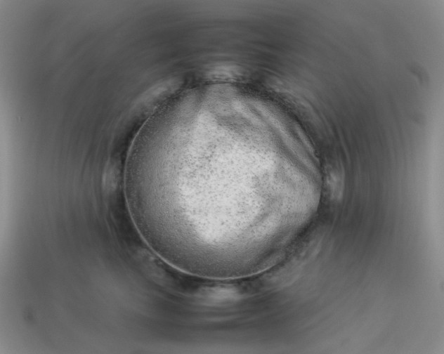 X0000114140665200910221526