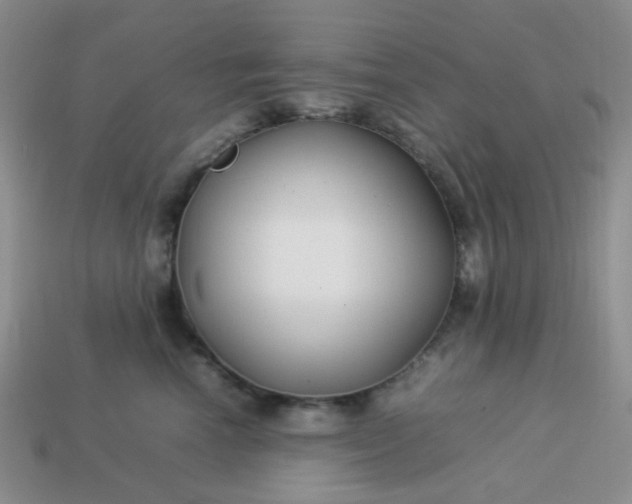 X0000114140666200910221526