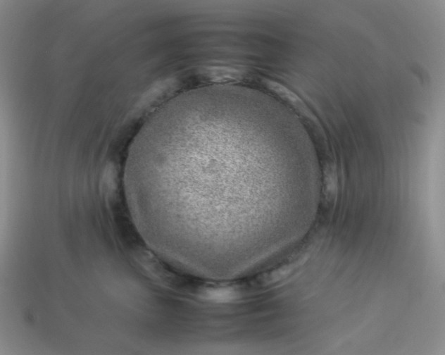 X0000114140667200910221526