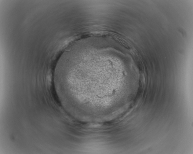 X0000114140668200910221526