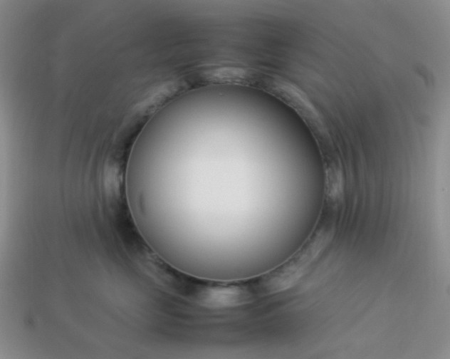 X0000114140669200910221526