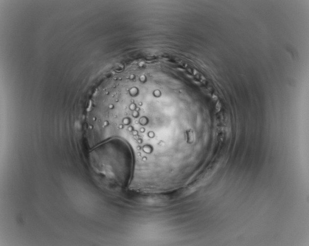 X0000114140670200910221526