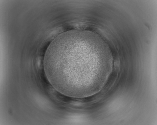 X0000114140671200910221526