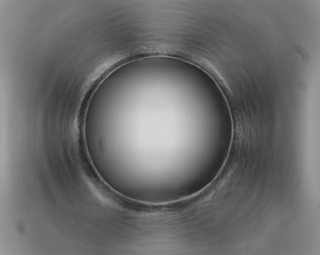 X0000114140674200910221525