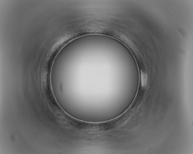 X0000114140675200910221525