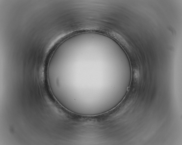 X0000114140676200910221525