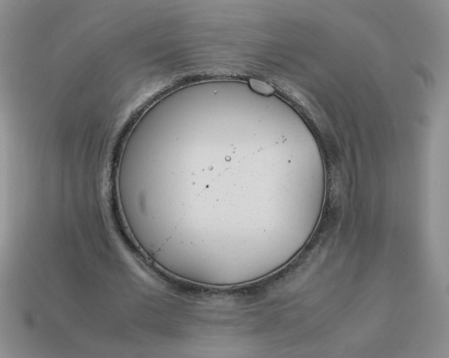 X0000114140677200910221525