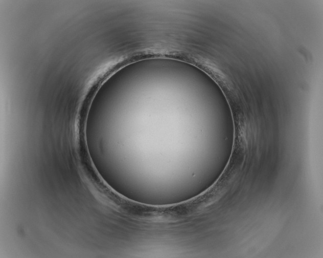 X0000114140678200910221525