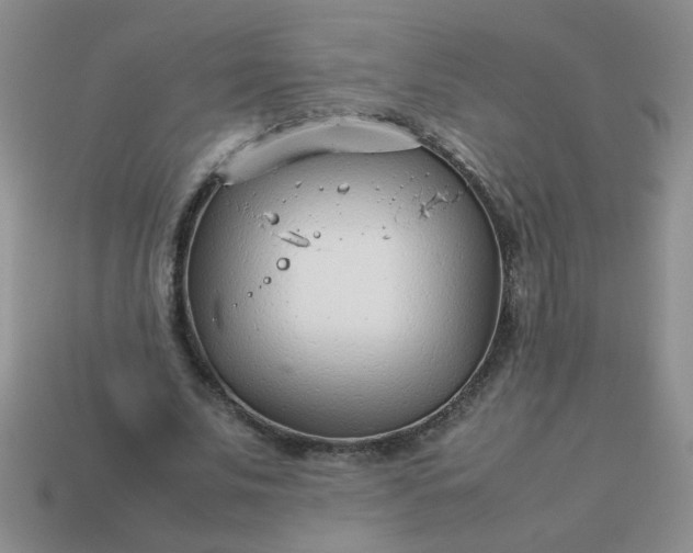 X0000114140679200910221525