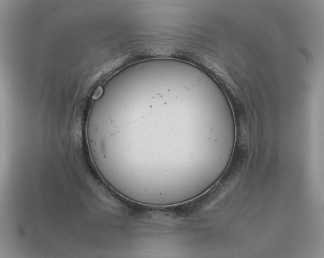 X0000114140681200910221525