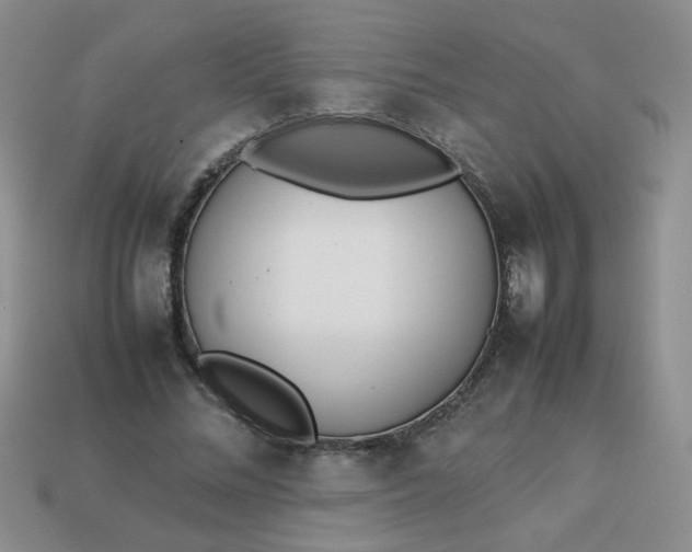 X0000114140684200910221525