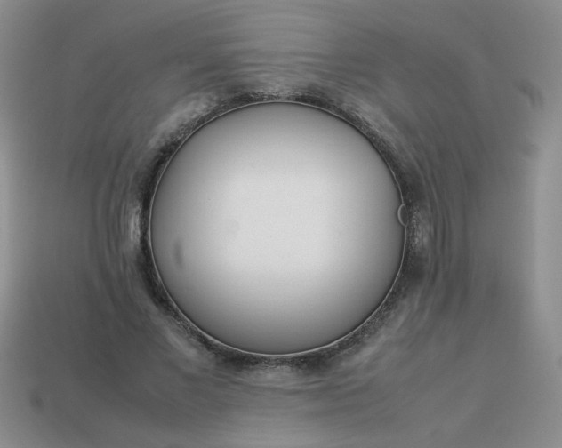 X0000114140685200910221525