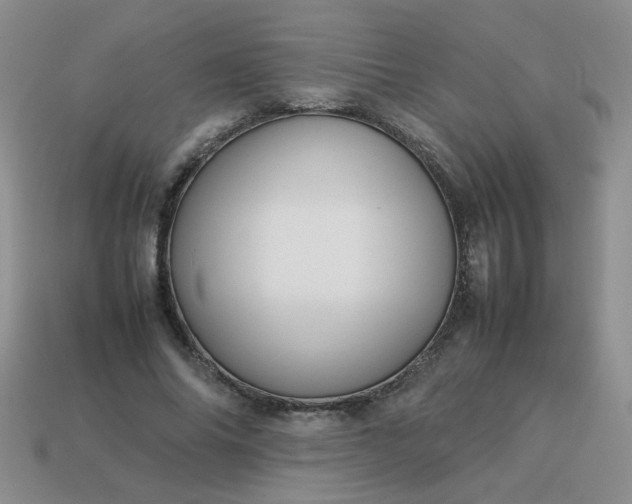 X0000114140686200910221525