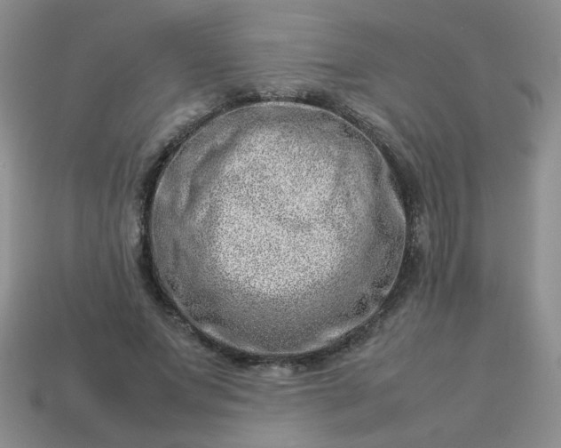 X0000114140687200910221525