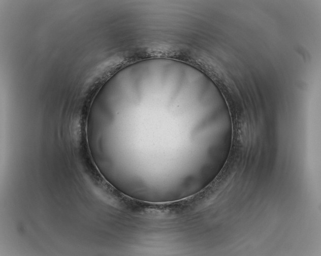 X0000114140690200910221525