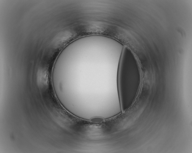 X0000114140692200910221525