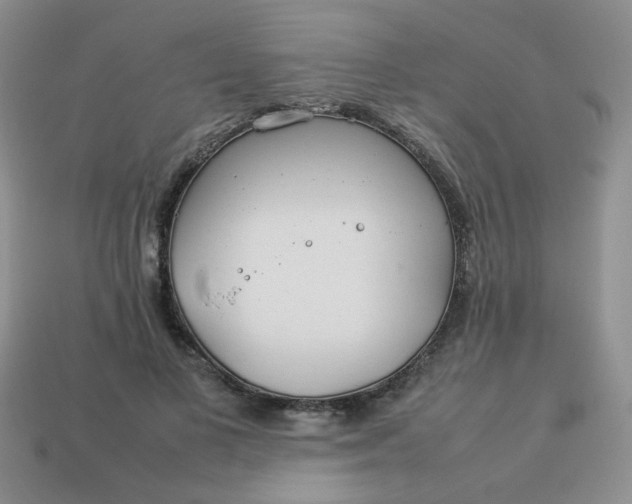 X0000114140693200910221525