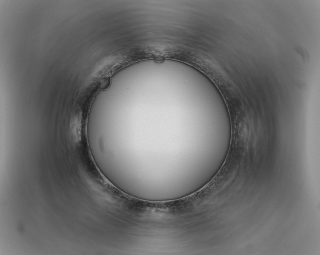 X0000114140694200910221525