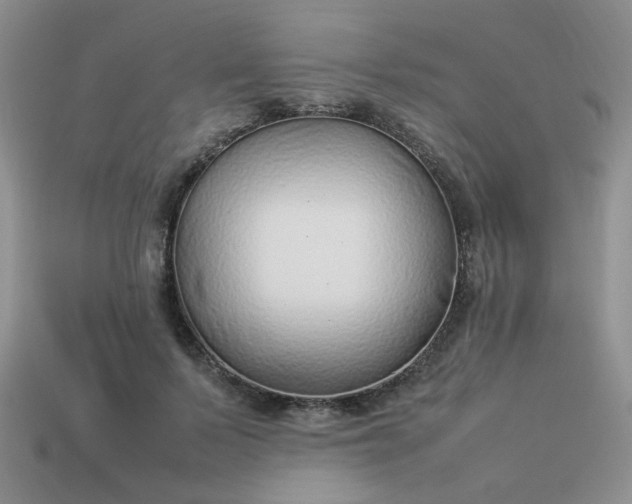 X0000114140695200910221525