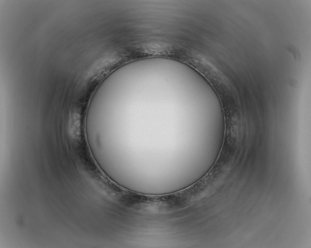 X0000114140696200910221525