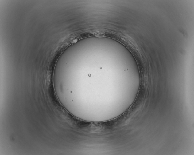 X0000114140697200910221525