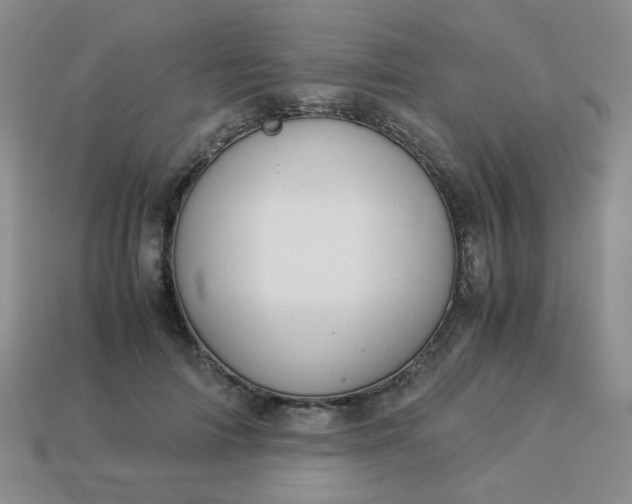 X0000114140698200910221525