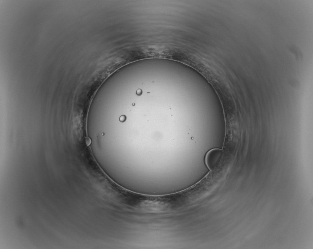 X0000114140699200910221525