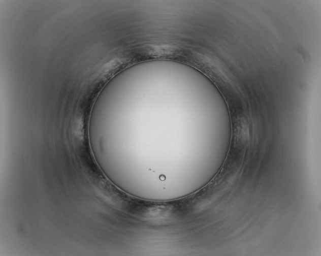 X0000114140700200910221525