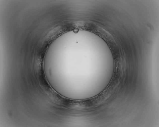 X0000114140702200910221525