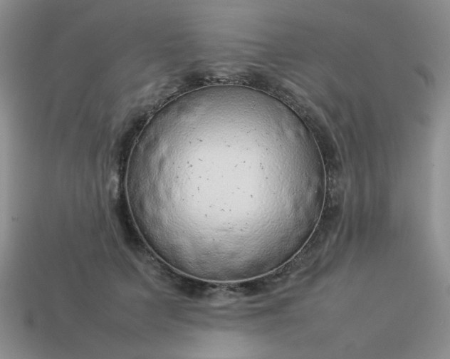 X0000114140703200910221525